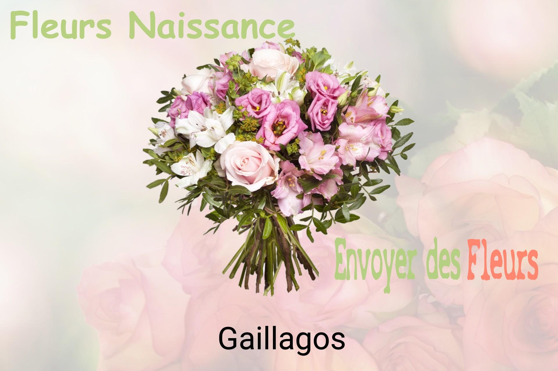 Bouquet de fleurs de naissance livré à Gaillagos