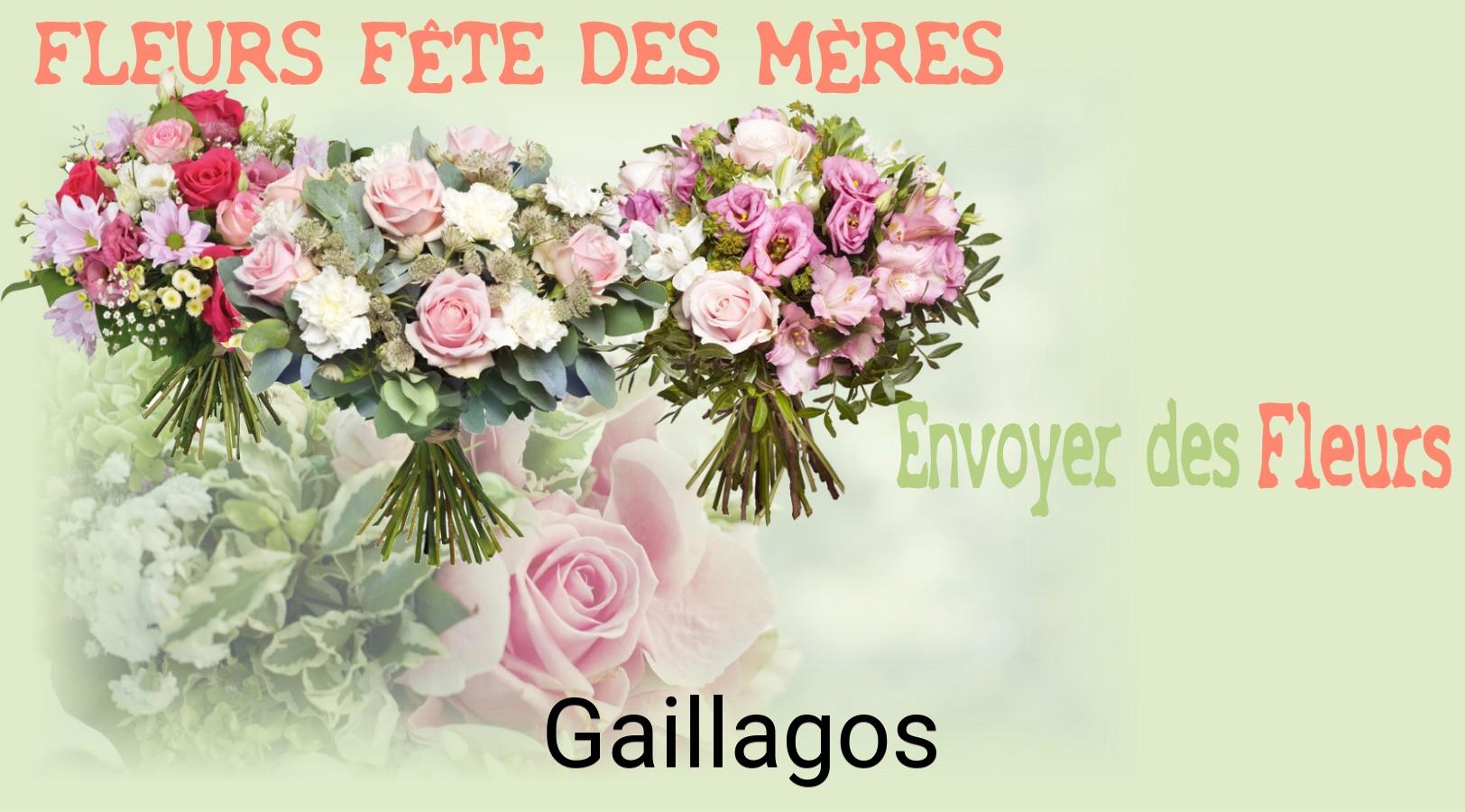 Bouquet de Fête des Mères livré à Gaillagos